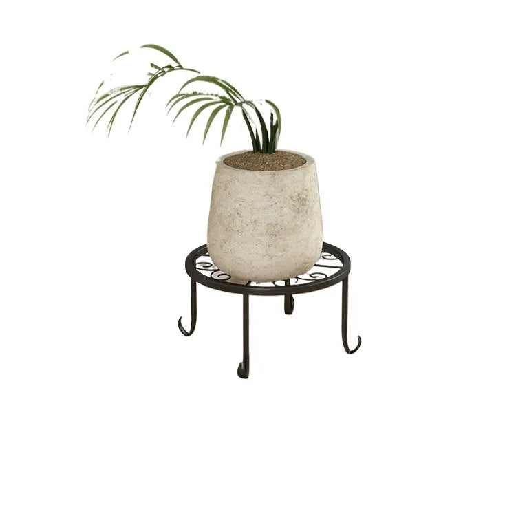 Modern Iron Plant Display Rack