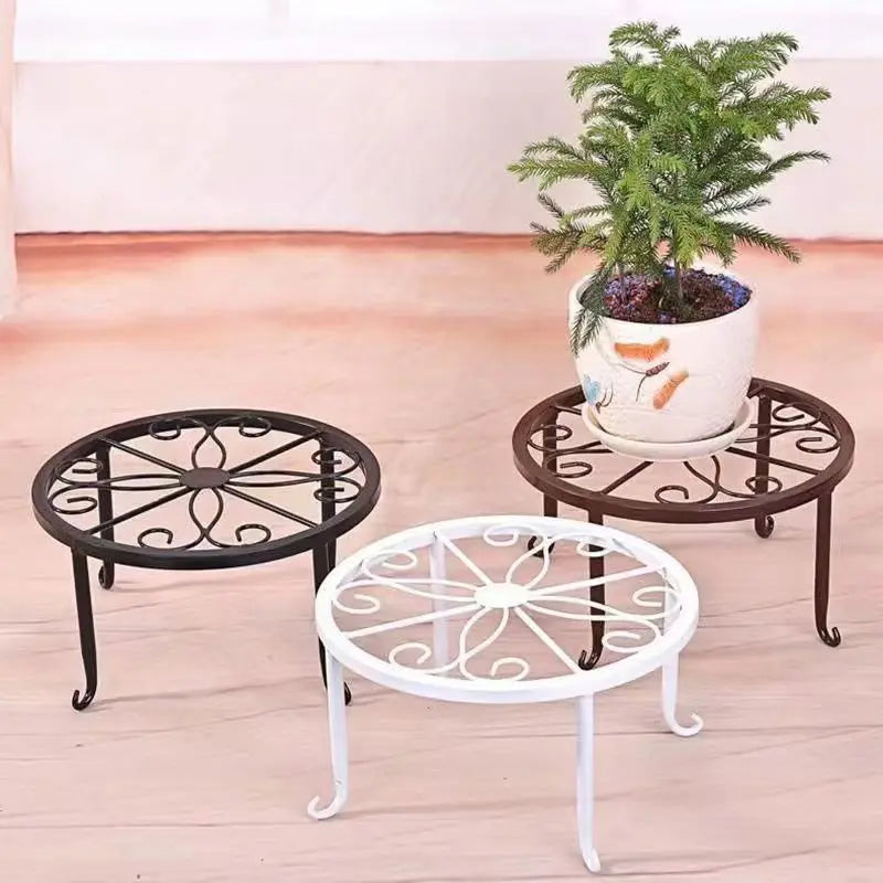 Modern Iron Plant Display Rack
