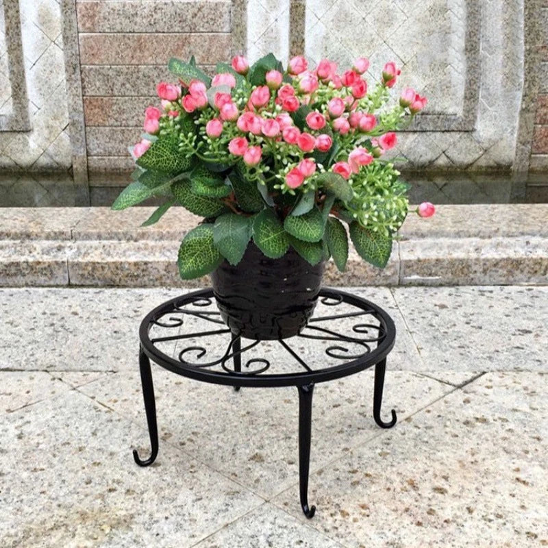 Modern Iron Plant Display Rack