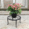 Modern Iron Plant Display Rack