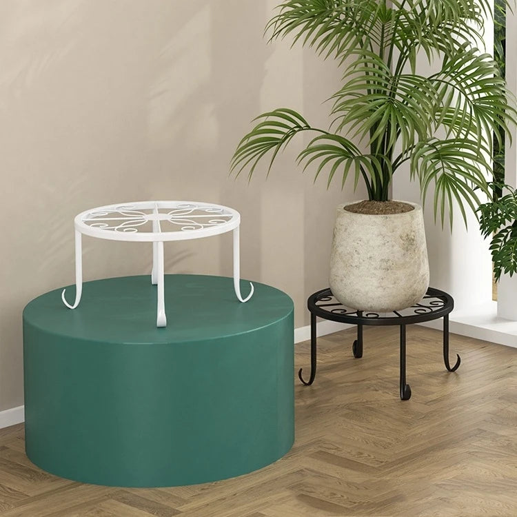 Modern Iron Plant Display Rack
